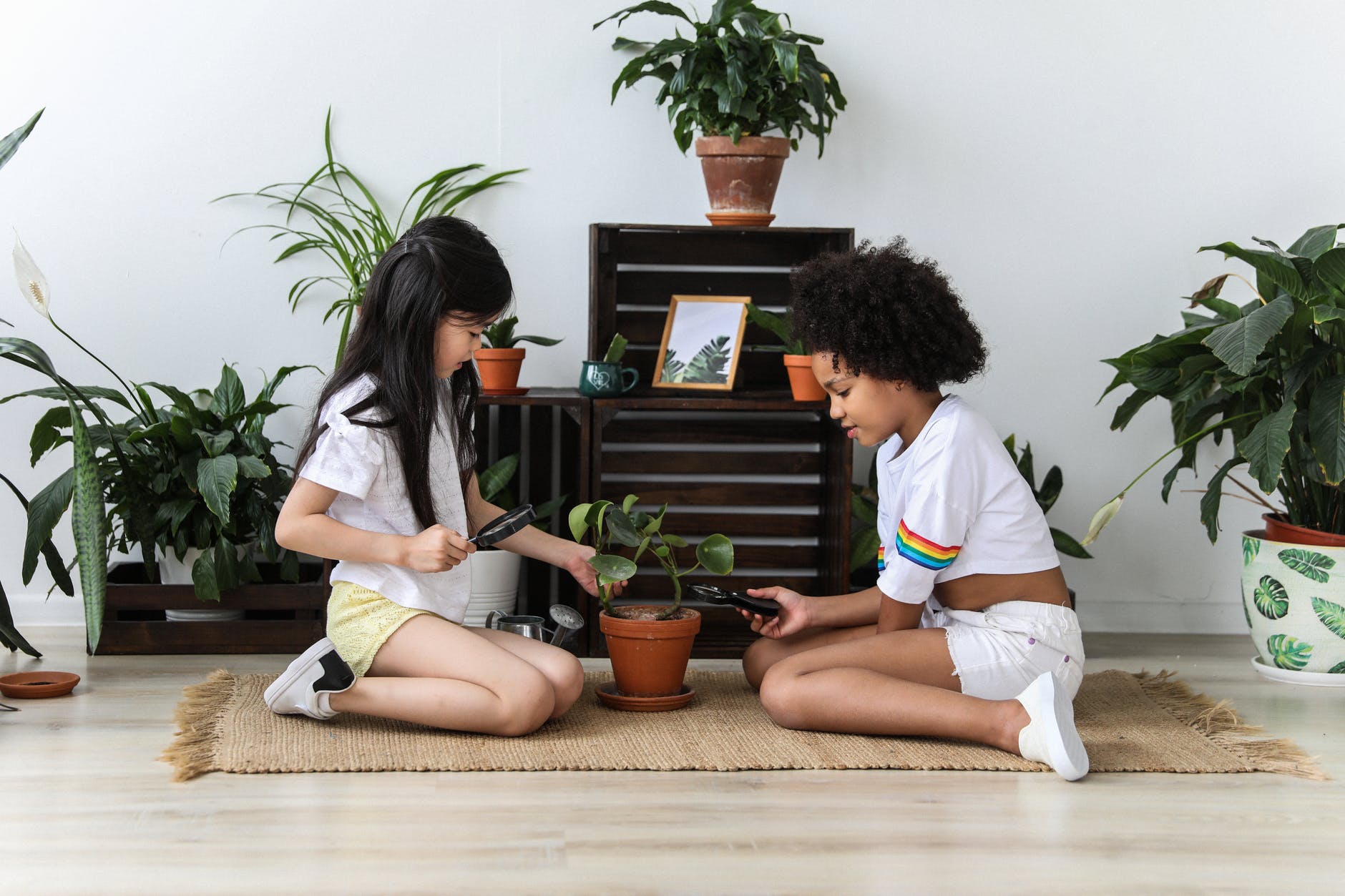 diverse girls taking care of plants